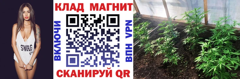 Как найти наркотики Еманжелинск ГАШ Псилоцибиновые грибы Мефедрон Кокаин Codein А ПВП